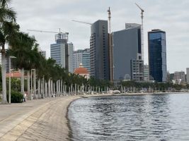 WhatsApp Image 2022-10-15 at 08.46.03 (3)